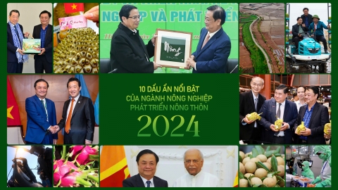 10 dấu ấn nổi bật của ngành Nông nghiệp - PTNT năm 2024