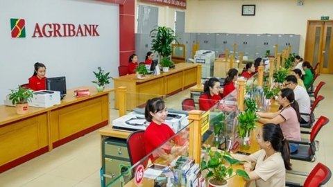 Lãi suất ngân hàng Agribank mới nhất tháng 1/2025: Lãi suất huy động ổn định