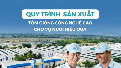 Quy trình sản xuất tôm giống công nghệ cao cho vụ nuôi hiệu quả