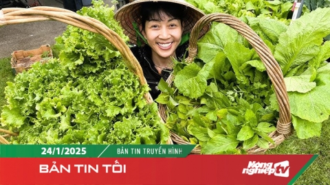 Bán rau Tết, nông dân Mê Linh thu tiền triệu mỗi ngày