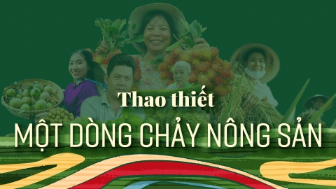 Thao thiết một dòng chảy nông sản