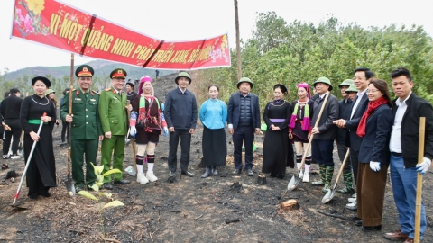 Quảng Ninh phát động Tết trồng cây 'Đời đời nhớ ơn Bác Hồ'