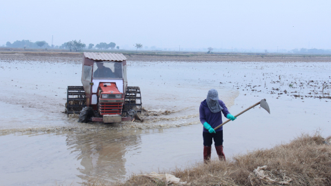 Gần 433.000 ha có nước sau ngày đầu tiên đợt 2 lấy nước đổ ải