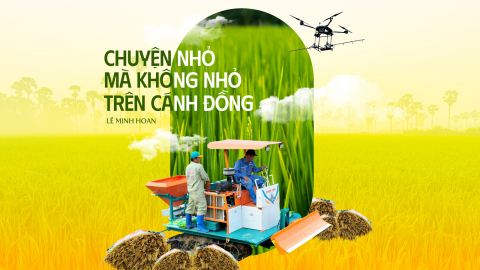 Chuyện nhỏ mà không nhỏ trên cánh đồng