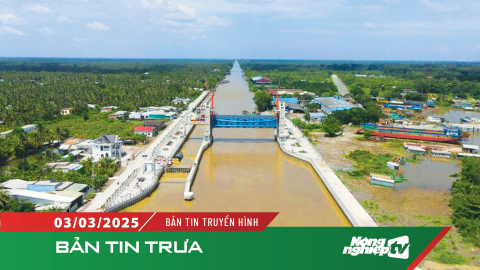 Kiểm soát mặn, bảo vệ 530.000 ha tại các tiểu vùng ngọt hóa