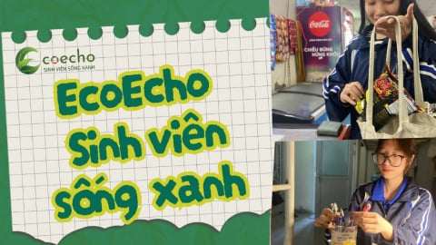 EcoEcho: Sinh viên kiến tạo môi trường xanh