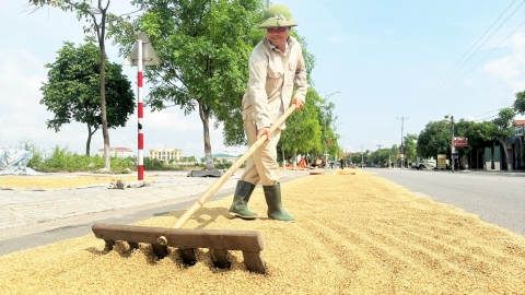 Năm nhiều niềm vui của nông nghiệp Hà Tĩnh