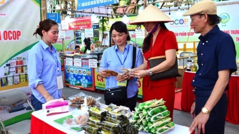Khai mạc tuần hàng OCOP, làng nghề, nông sản thực phẩm an toàn Hà Nội