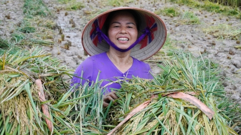 Bộ trưởng Lê Minh Hoan: 'Bán hạt gạo không giàu nhưng bán sự tử tế sẽ giàu'