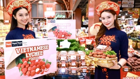 Vải thiều Việt Nam bán tại siêu thị Thái Lan giá 200.000 đồng/kg