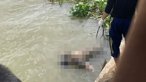 Tìm tung tích thi thể nam giới trôi trên sông Hậu