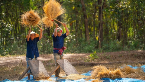 Mạng lưới tư vấn chính sách nông nghiệp tiểu vùng sông Mekong