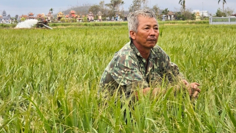 Hải Phòng tạo điều kiện tốt nhất vốn vay để tái sản xuất nông nghiệp