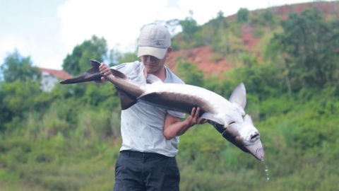 Tiềm năng nuôi trồng thủy sản trong lòng hồ: [Bài 1] Điểm mặt những 'ông lớn'