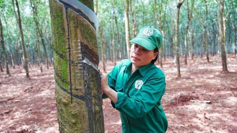 VRG đạt doanh thu hơn 16 nghìn tỷ đồng sau 9 tháng