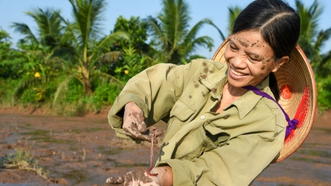 Bình minh trên những đầm rươi