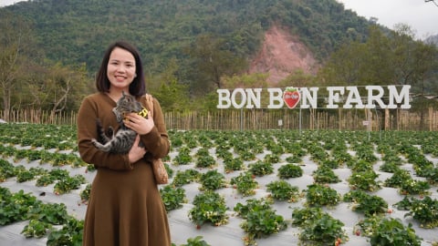 Nông trại du lịch 'thu quả ngọt' nhờ kinh doanh... cảm xúc