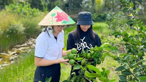 Đào tạo nghề cần khảo sát nhu cầu từng địa phương