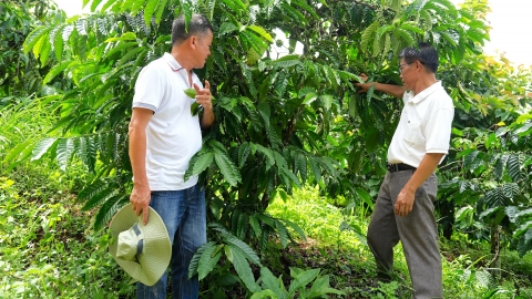 Chọn con đường nông nghiệp sạch: Những 'ông mai, bà mối' giúp nông dân thay đổi tư duy