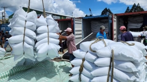 Giá gạo xuất khẩu bình quân 5 tháng đạt 638 USD/tấn