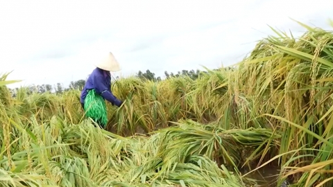 Một số khu vực vùng ĐBSH sẽ thoát ngập úng trong vài ngày tới