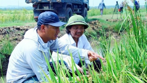 Khởi nghiệp từ cánh đồng ‘chuột phá’