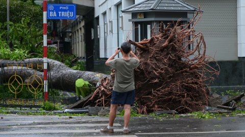 Cây đổ gây cảnh tan hoang cho Hà Nội