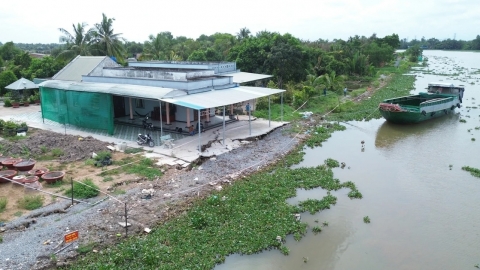 Gần 83km đê bao sông Vàm Cỏ bảo vệ cho 2.700ha đất nông nghiệp