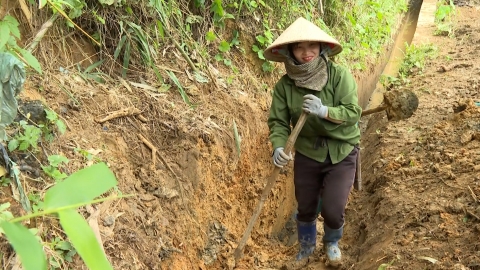 Vét mương, bắc máng dẫn nước thay cho các công trình thủy lợi hư hỏng