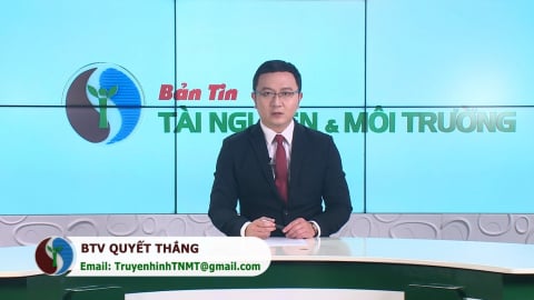 Bản tin Truyền hình TN&MT Số 11/2025 (Số 398)