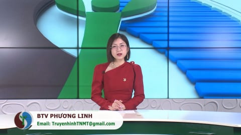 Bản tin Truyền hình TN&MT số 12/2025 (số 399)