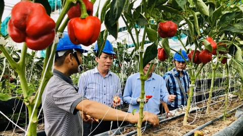 Đồng Nai tạo đột phá cho nông nghiệp công nghệ cao