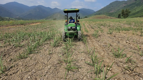 AgriS Ninh Hòa đầu tư vùng nguyên liệu mía gần 10.000ha