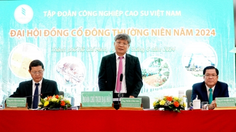 Tập đoàn Công nghiệp Cao su Việt Nam chia cổ tức 1.200 tỷ đồng