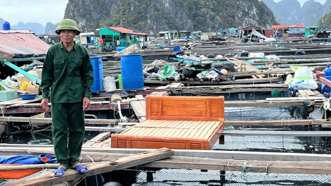 Thủy sản thiệt hại nghiêm trọng, Bộ NN-PTNT kêu gọi hỗ trợ phục hồi sản xuất