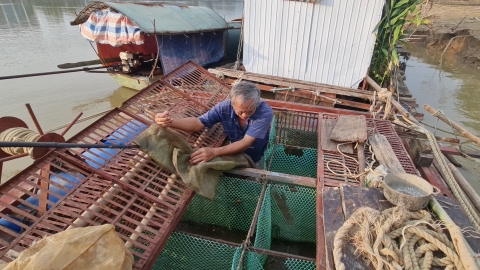 Thủy sản Tuyên Quang lao đao