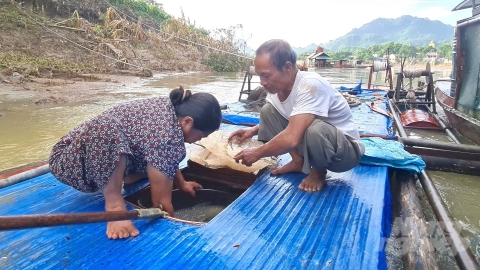 Làm sạch môi trường, giảm rủi ro cho người nuôi cá lồng