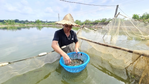 Nhiều mối lo của ngành thủy sản xứ Tuyên