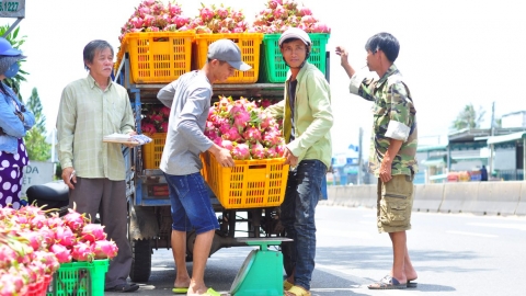 Câu chuyện mù mờ