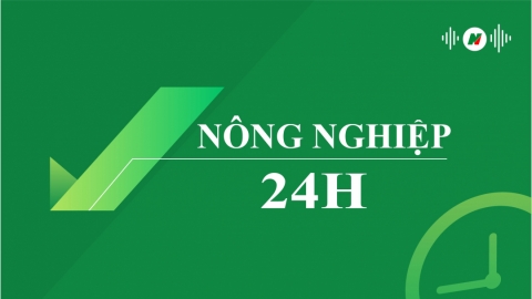 Bốn yếu tố hình thành startup nông nghiệp