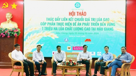 Đề án phát triển bền vững 1 triệu ha lúa chất lượng cao: Thúc đẩy sự vào cuộc của 4 nhà