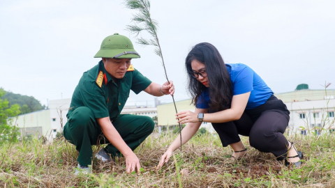 BSR ra quân trồng cây đầu Xuân