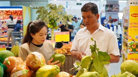 Tôn vinh nông sản Việt: Hỗ trợ tiêu thụ hơn 500 loại sản phẩm OCOP