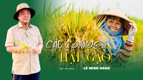 Câu chuyện hạt gạo