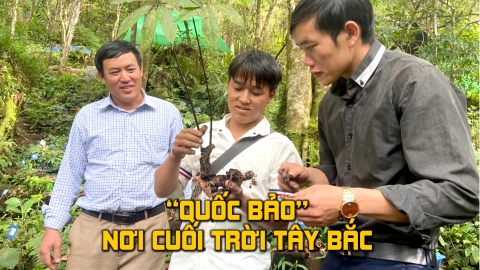 'Quốc bảo' nơi cuối trời Tây Bắc