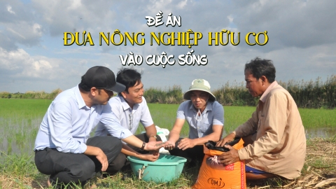 Đề án đưa nông nghiệp hữu cơ vào cuộc sống