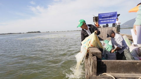 Cấm khai thác thủy sản hồ Dầu Tiếng từ ngày 7/11 đến hết ngày 7/12/2024