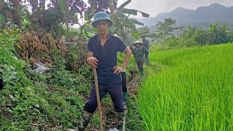 Huy động sức dân khắc phục công trình thủy lợi bị hư hỏng