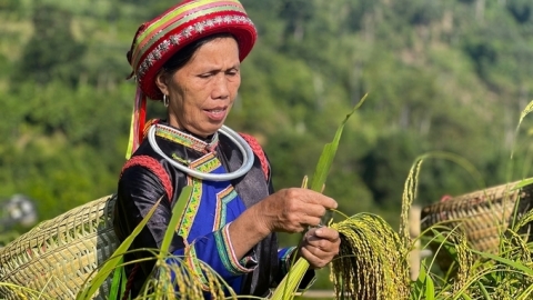 Nông nghiệp Bắc Kạn tăng trưởng ấn tượng