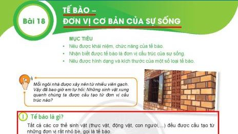 Sách Khoa học tự nhiên 6 - bộ Kết nối: Nhiều sạn to!